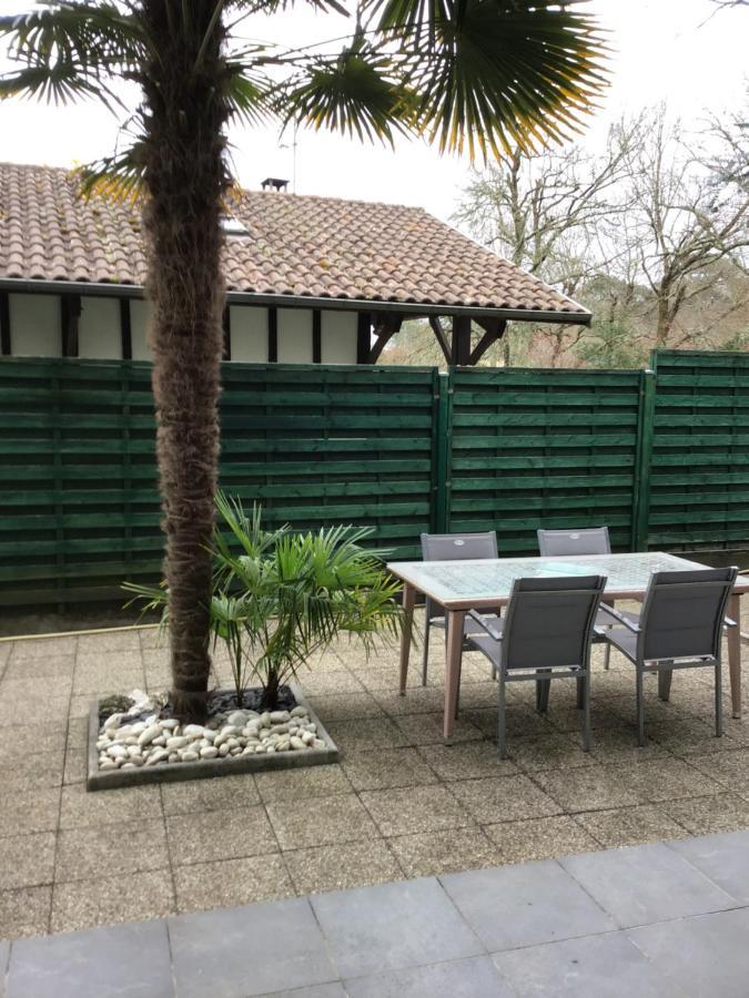 Agreable Appartement A 1Km Du Centre De La Teste-De-Buch Exterior foto
